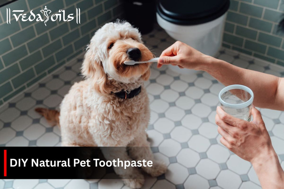 DIY Natural Pet Toothpaste