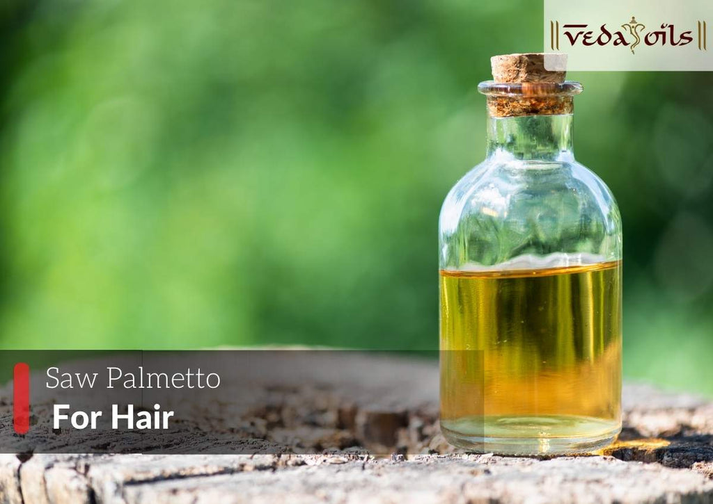 Saw Palmetto Oil For Hair Growth Benefits & Recipes VedaOils