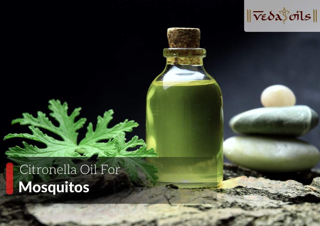 Citronella Oil For Mosquitoes Homemade Mosquito Repellent VedaOils