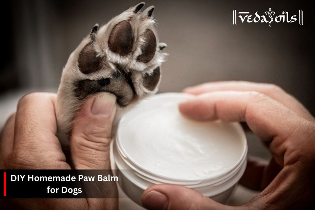 DIY Dog Paw Balm: A Natural Solution for Healthy Paws
