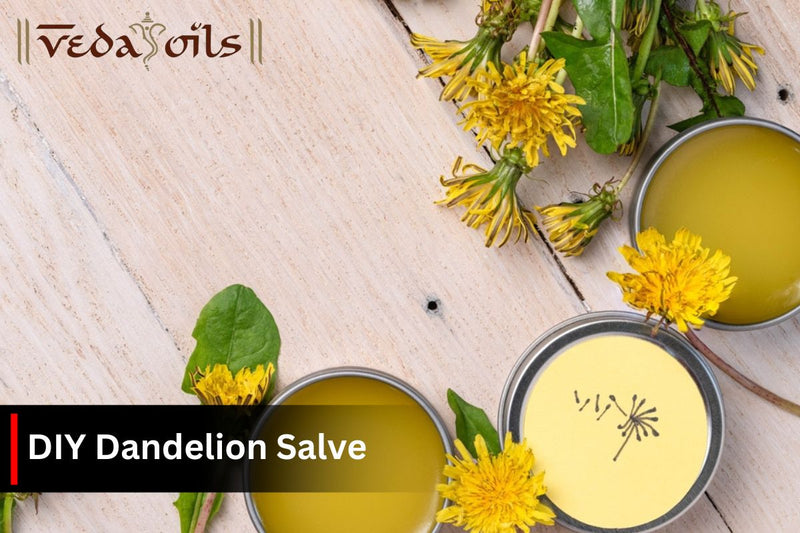 Dandelion Salve Benefits & Easy DIY Recipes