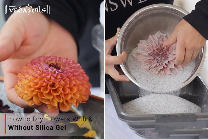 How to Dry Flowers With & Without Silica Gel?