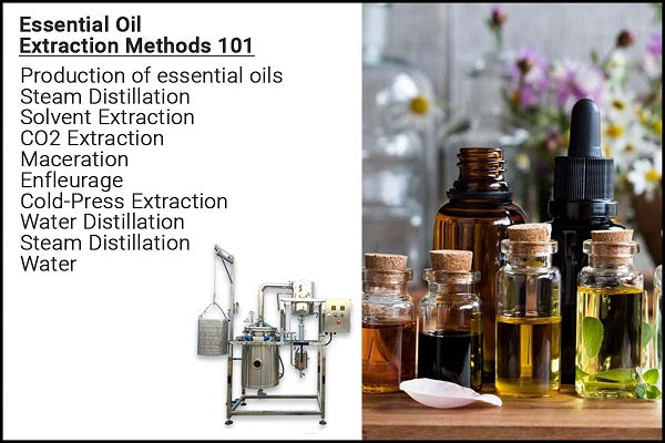 Essential Oil Extraction Methods 101