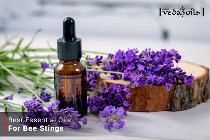 Essential Oils For Bee Stings | Best Oils For Bee Sting Swelling