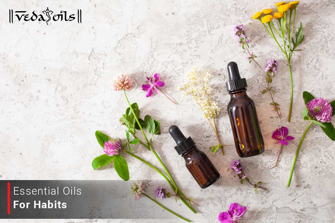 Essential Oils For Healthy Habits - Healthy Lifestyle Habits