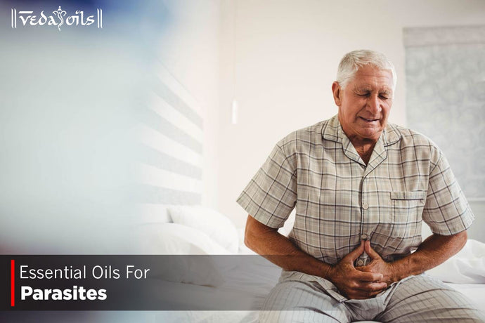 Essential Oils For Parasites - Antiparasitic Oils