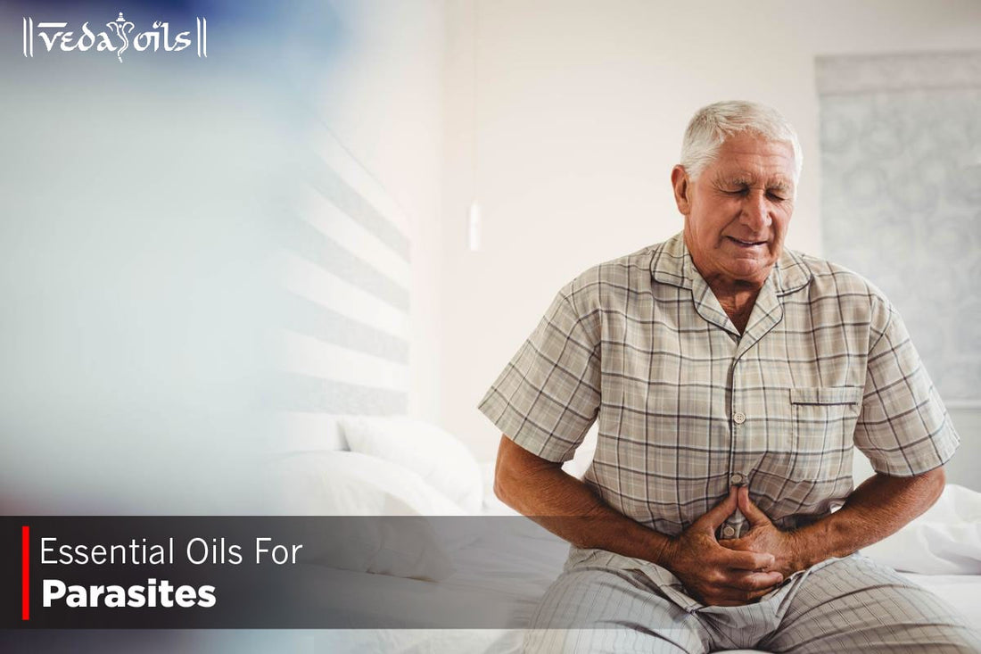 Essential Oils For Parasites