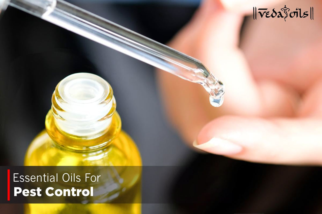 Essential Oils For Pest Control