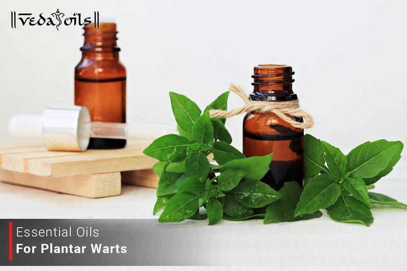 Essential Oils For Plantar Warts