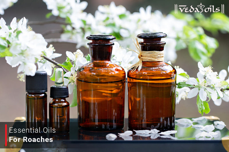 Essential Oils for Roaches That Actually Work – Safe & Chemical-Free