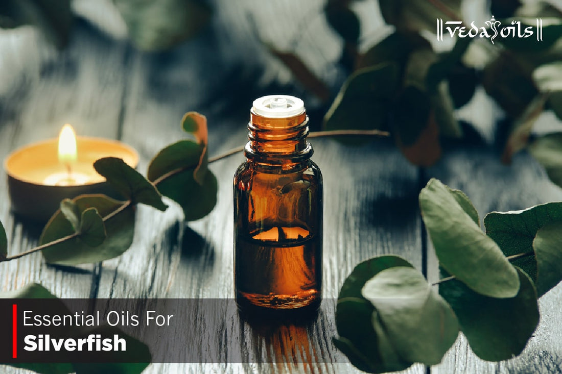 Essential Oils For Silverfish