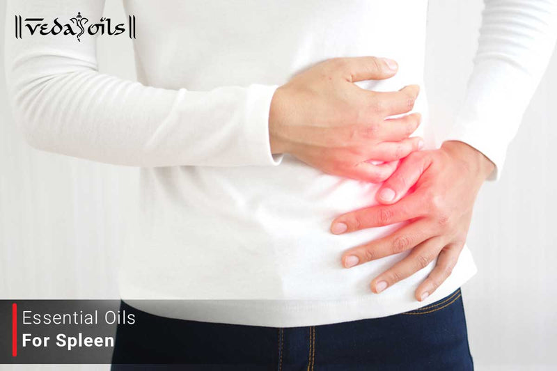 Essential Oils For Spleen - Aromatherapy For Enlarged Spleen