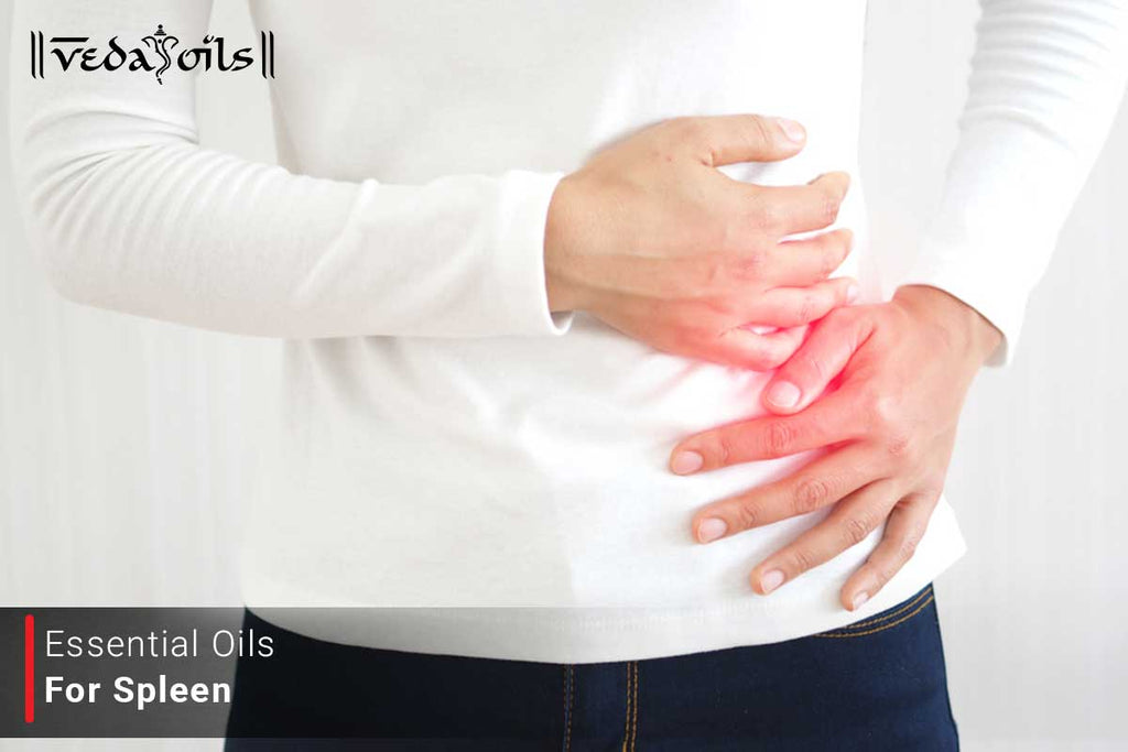 5 Best Essential Oils For Spleen Remedies For Spleen Health VedaOils