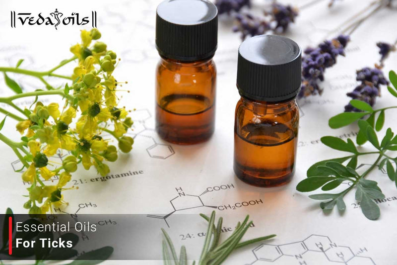 14 Best Essential Oils For Ticks - DIY Tick Repellent – VedaOils