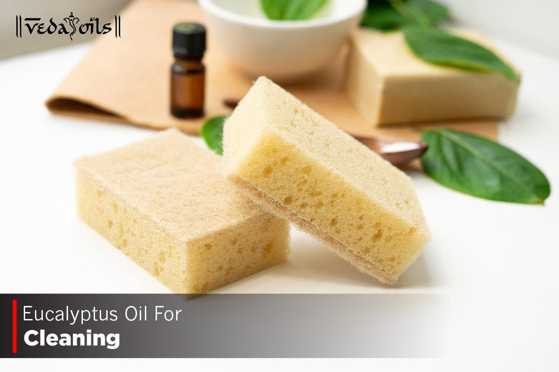 Eucalyptus Oil For Cleaning