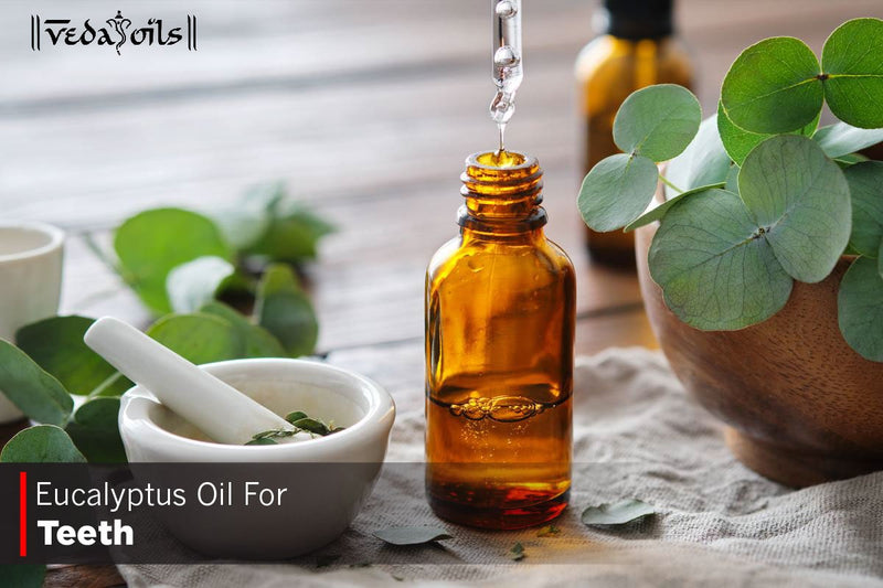 Eucalyptus Oil For Teeth - Receding Gums