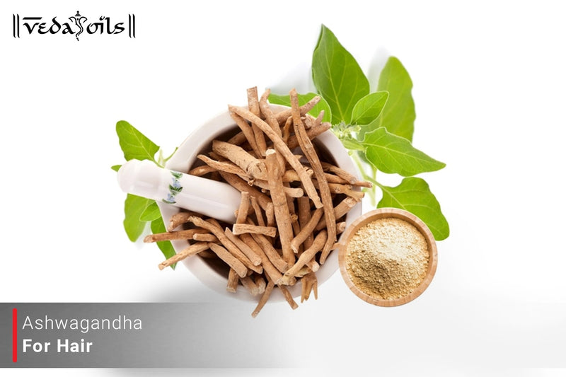 Ashwagandha Powder For Hair Care : A Natural Remedy for Scalp Health