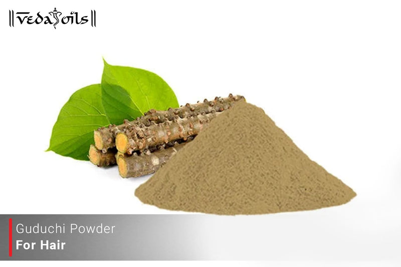 Guduchi Powder For Hair - Benefits & DIY Recipe
