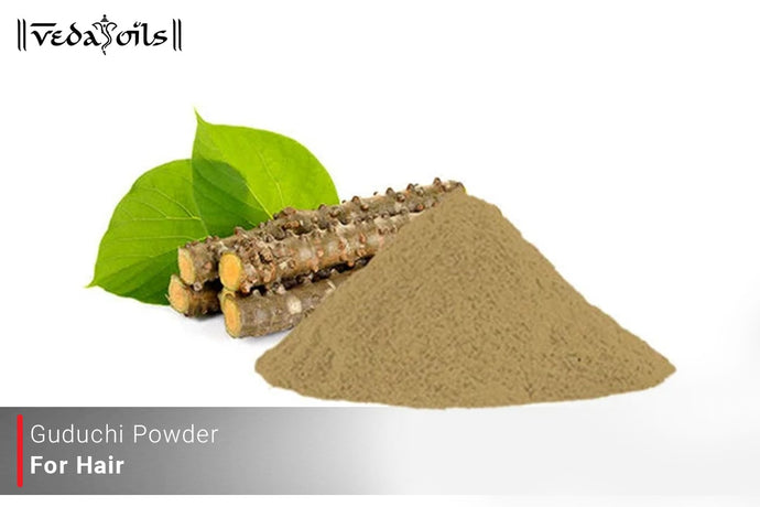 Guduchi Powder For Hair - Benefits & How to Use