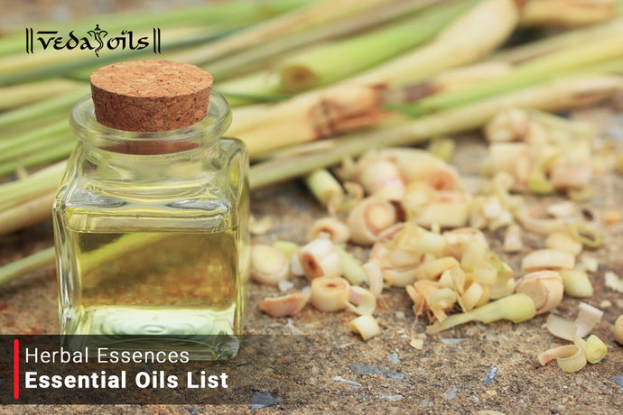 Herbal Essential Oils | Natural Herbaceous Plant Essential Oils