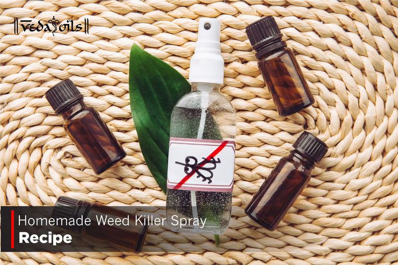 Best Homemade Weed Killer Spray - Benefits & Natural DIY Recipes