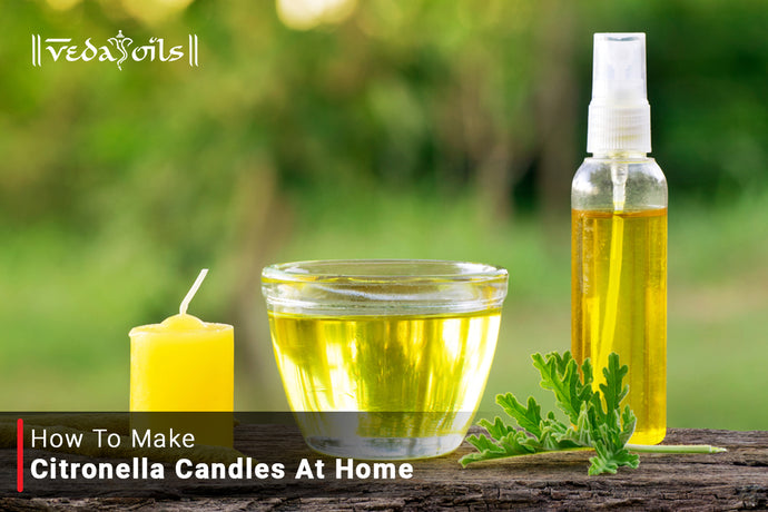 How to Make Citronella Candles at Home | Homemade Citronella Candle