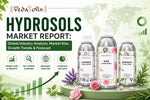 Hydrosols Market Report 2026–2035: Size, Trends & Forecast