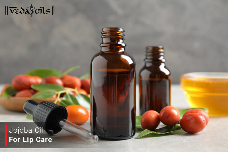 Jojoba Oil For Lip Care |  Best Jojoba Oil For Chapped Lips