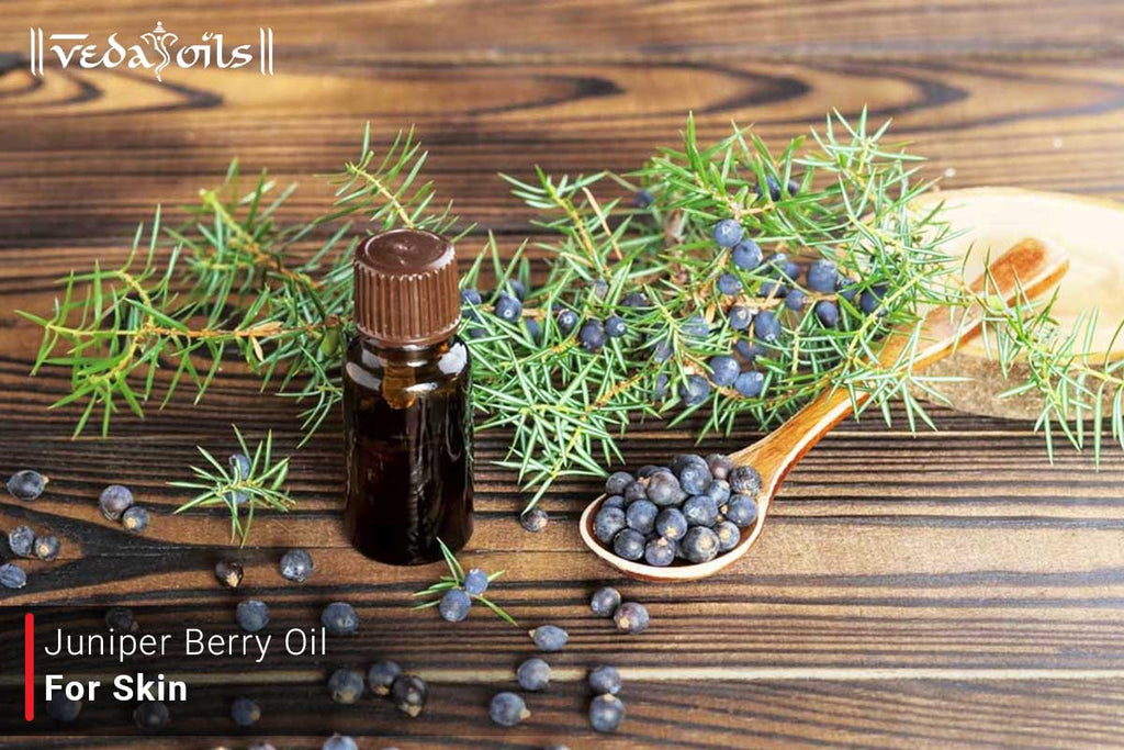 Juniper Berry Skin Benefits Get Softer Skin Naturally VedaOils