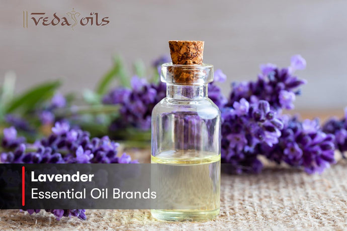 Lavender Essential Oil Brands - Best Quality Lavender Oil