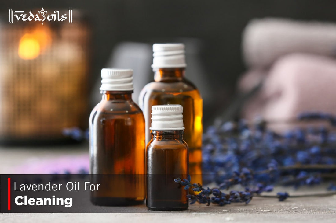 Lavender Oil For Cleaning