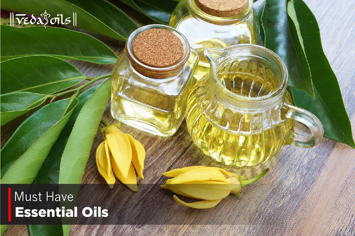 Must Have Essential Oils - Everyone Should Have