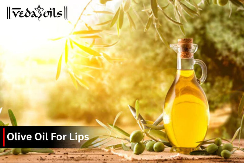 Olive Oil For Lips - Heal Your Cracked Chapped Lips