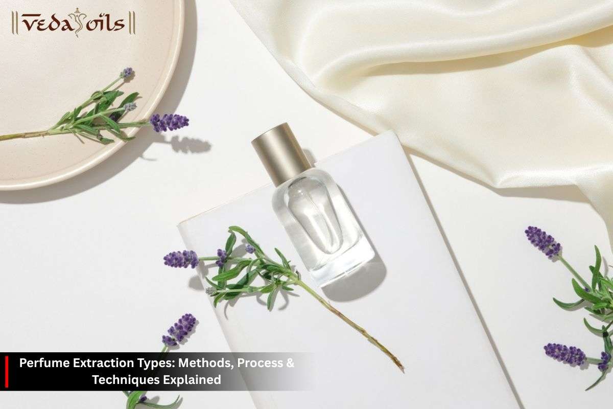 Perfume Extraction Types: Methods, Process & Techniques Explained ...