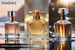 Perfume Longevity vs Projection vs Sillage: Know Differecnes