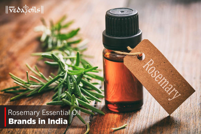 Rosemary Essential Oil Brands in India 2024