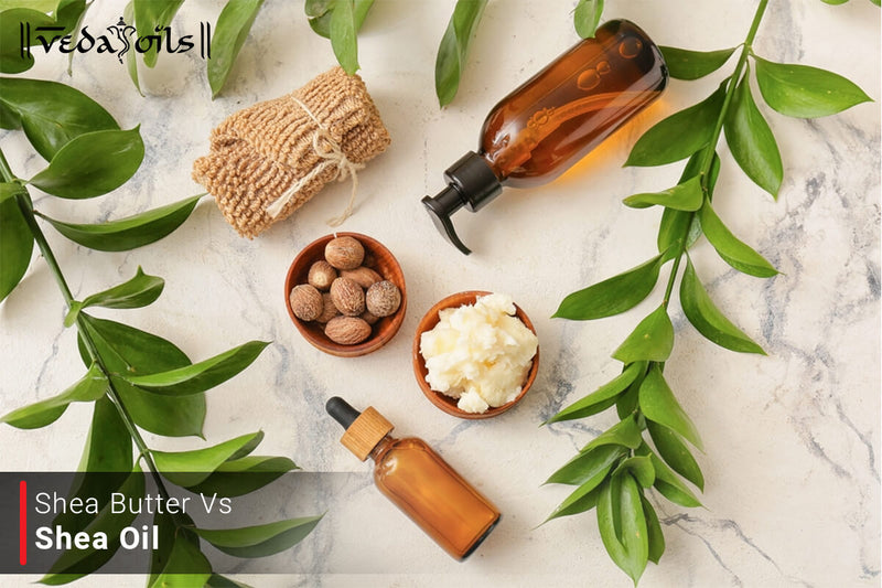 Shea Butter Vs Shea Oil - What's The Main Difference Between Them?