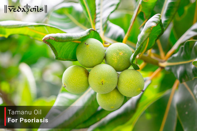 Tamanu Oil For Psoriasis - Benefits, Uses & Effects