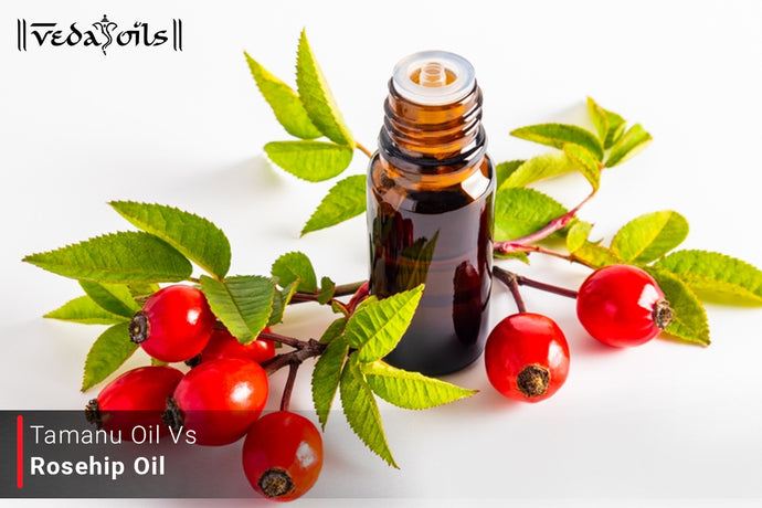 Tamanu Oil Vs Rosehip Oil - Find Out Which One Is Better