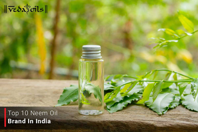 Neem Oil Brands In India 2024 - Best for Skin & Hair Care