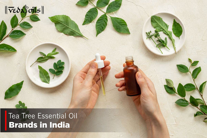 Tea Tree Essential Oil Brands in India 2024