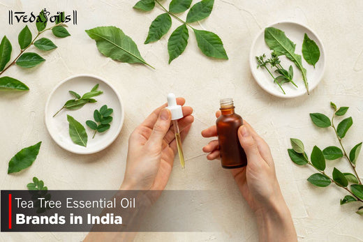 Tea Tree Essential Oil Brands in India