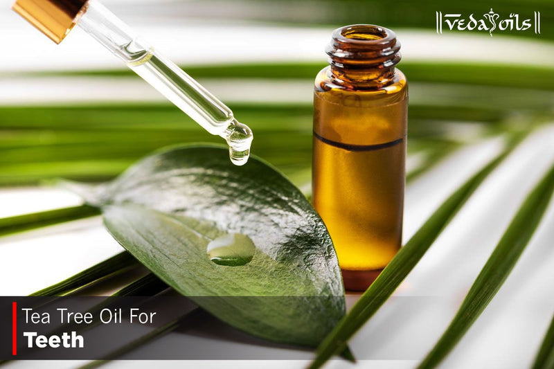 Tea Tree Oil For Teeth Pain - Is It Safe?
