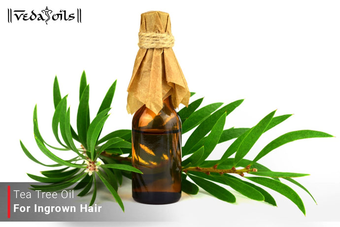 Tea Tree Oil For Ingrown Hair - Best For Razor Bumps