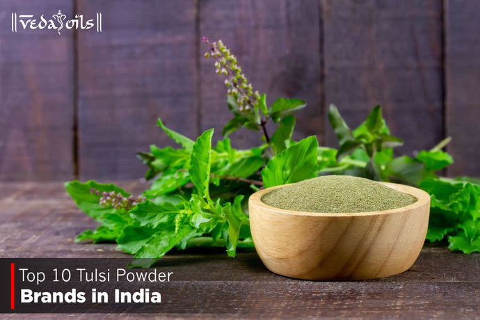 Tulsi Powder Brands in India 2024