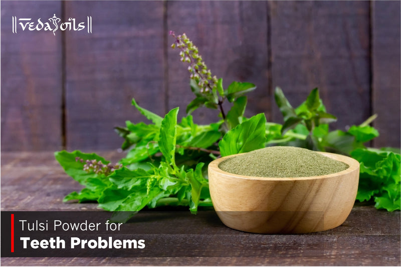 Tulsi Powder for Teeth Problems  - Benefits & DIY Recipe