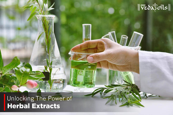 Unlocking The Power of Herbal Extracts- Benefits, Uses, and Types
