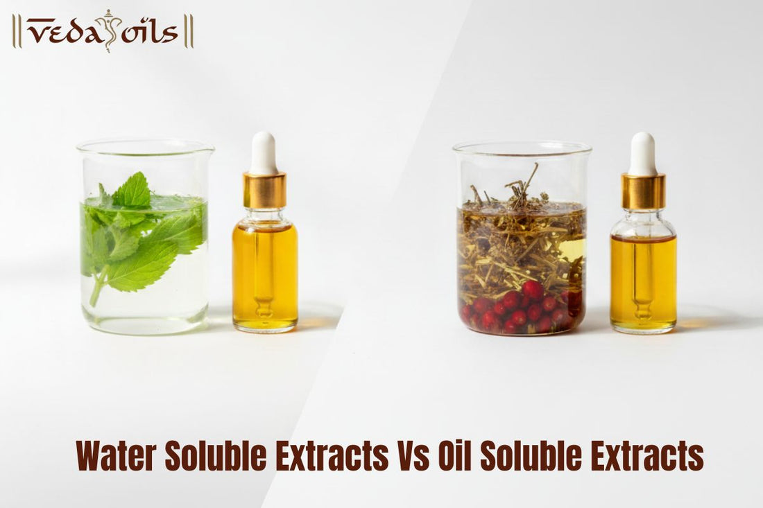 Water Soluble Extracts Vs Oil Soluble Extracts: Key Differences & Benefits