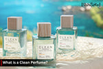 What is a Clean Perfume? Everything You Need to Know