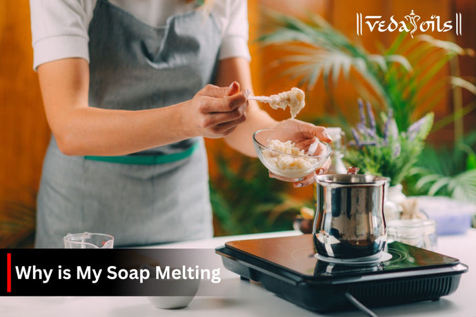 Why Is My Soap Melting - How to Prevent It?